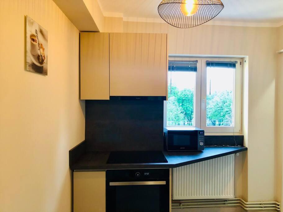 Joy City Stay Victoriei 7G-13 Timisoara Exterior foto